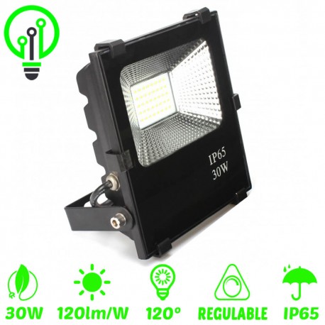 Proyector LED exterior 30W IP65 PROFESIONAL